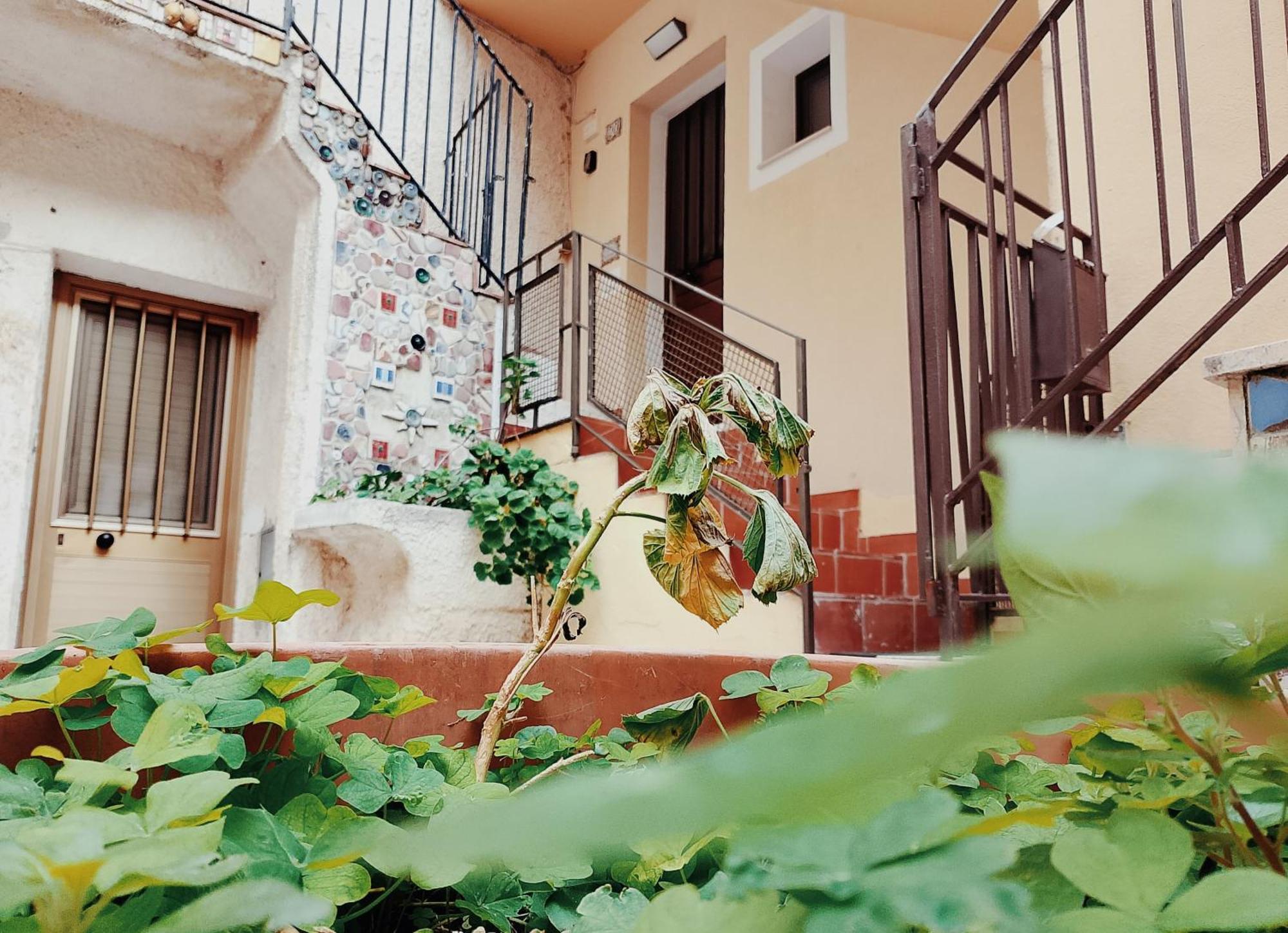 Cocciu D'Amuri ชากกา ภายนอก รูปภาพ